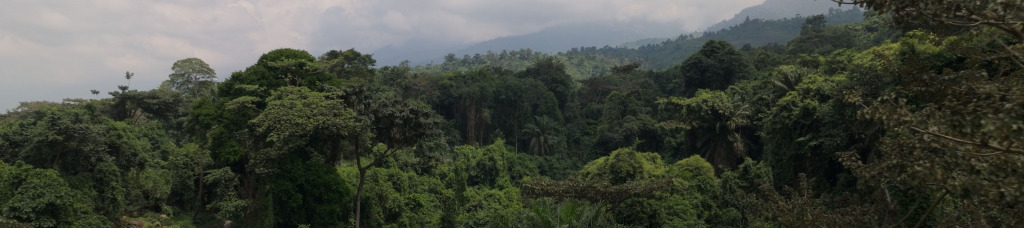 VIRUNGA NATIONAL PARK SHORTS